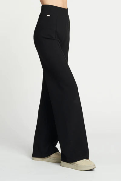 Forest pintuck flare pants - Black